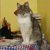 Отзыв от Ирина Маслова